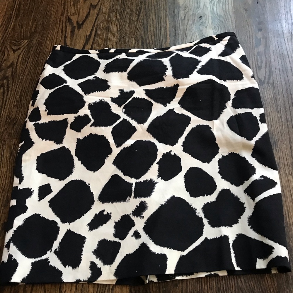 Ann Taylor Loft Skirt